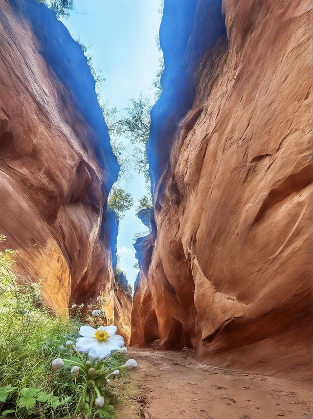 延安1日包車遊打卡必去寶藏地 延安1日包車遊打卡必去寶藏地