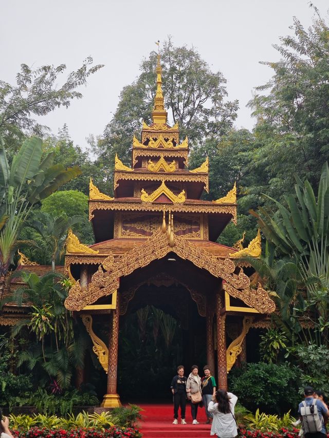 西雙版納市區不得不去的曼聽公園和總佛寺