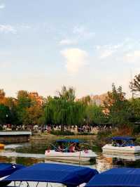 上海·秋冬銜接的中山公園