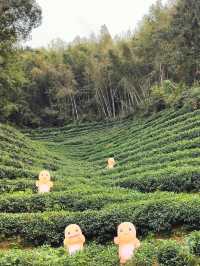 婺源月亮灣|煙雨朦朧裡的治癒系賞秋之旅