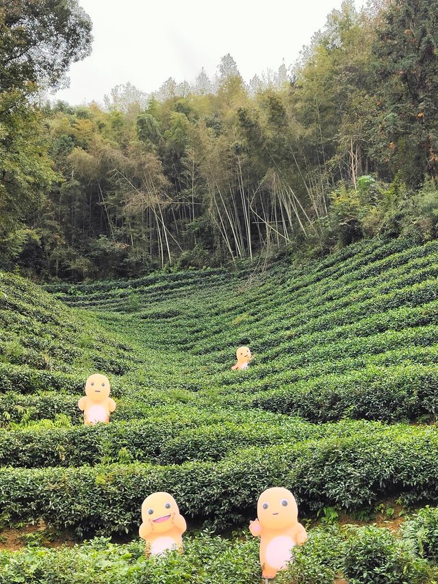 婺源月亮灣|煙雨朦朧裡的治癒系賞秋之旅 婺源月亮灣|煙雨朦朧裡的治癒系賞秋之旅