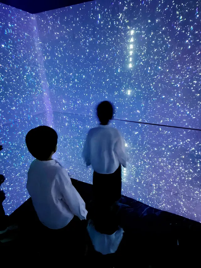 上海外灘蘇州河邊連看26場展覽建議收藏