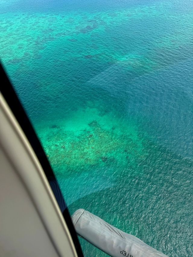 9日澳洲秋日遊攻略快碼住