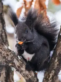 再吃，再吃就把你拍下來，放到網上去！