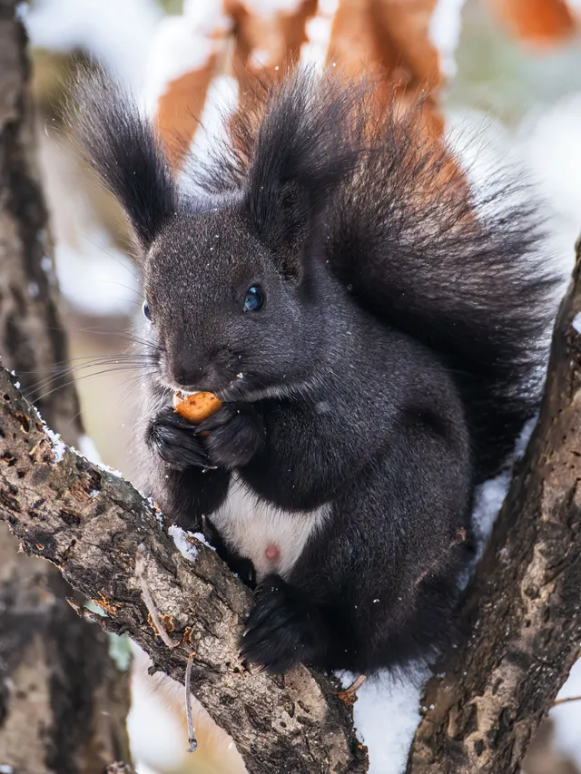 再吃，再吃就把你拍下來，放到網上去！