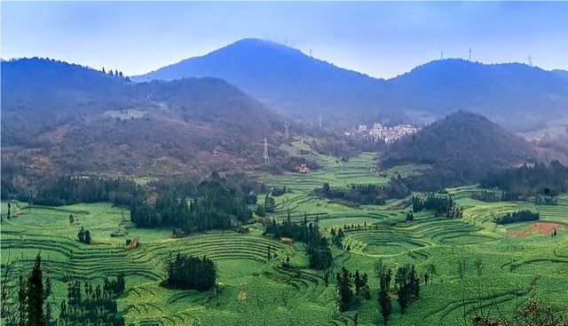 《國家地理》沒騙我羅平螺絲田真的和宣傳圖一樣美!冬春限定 《國家地理》沒騙我羅平螺絲田真的和宣傳圖一樣美!冬春限定