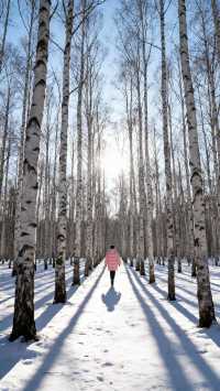 冬日必去！穿越大興安嶺林海雪原的極致浪漫