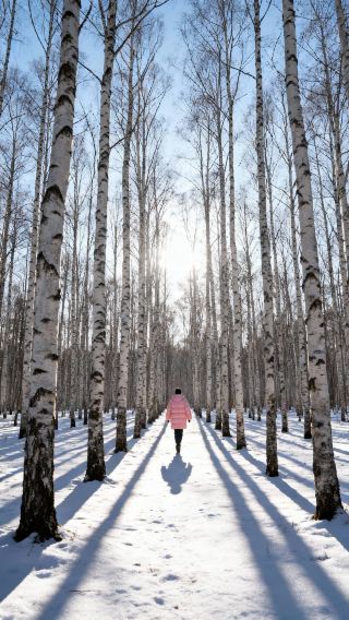 冬に必ず行くべき！大興安嶺の林海雪原を越える究極のロマンス