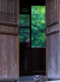 稷山暖和旅遊勝地