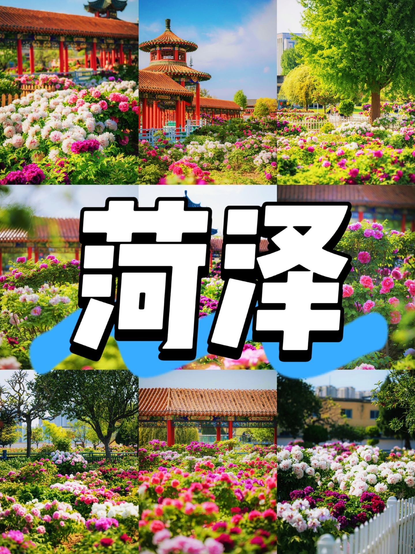 Heze's "National Beauty and Heavenly Fragrance" 2-3 Day Full Itinerary: Peony Sea + Water Margin Heroic Spirit - Absolutely Amazing!