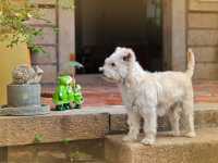 西街旁54號驚喜!來泉州住這裡還是太幸hu了~