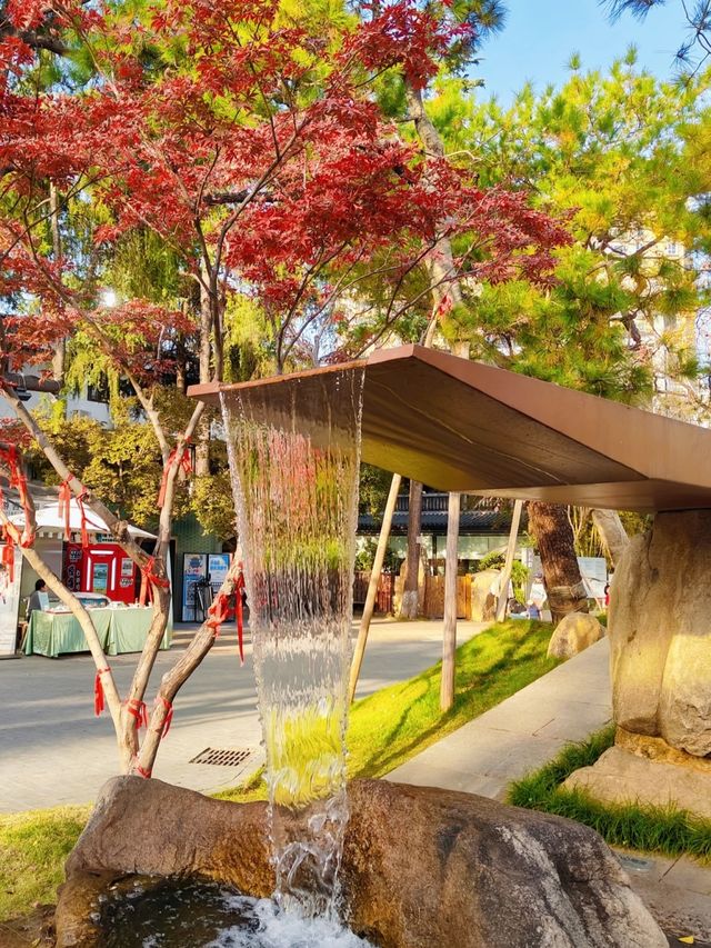 長沙人私藏!市中心這片銀杏秘境美到窒息 長沙人私藏!市中心這片銀杏秘境美到窒息