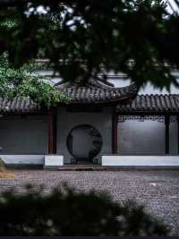 紫微園賞銀杏絕美