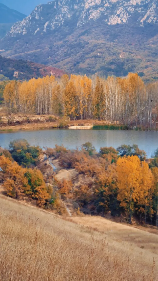 鄭州1.5h直達!小眾免費一日遊!小川西! 鄭州1.5h直達!小眾免費一日遊!小川西!