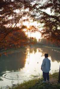 魔都的冬天有多美！紅得像火