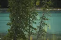 喀納斯湖 Kanas lake 天堂遺忘的地方