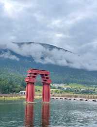 探秘西藏魯朗林海:來了就不想走的東方瑞士