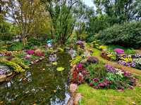 共青賞秋絕佳地