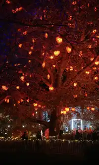 愛在維也納|聖誕前