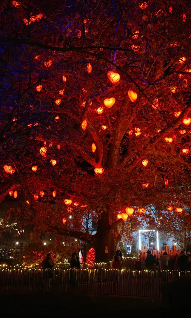 愛在維也納|聖誕前 愛在維也納|聖誕前