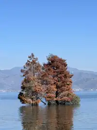 雲南7天6晚solotrip repo