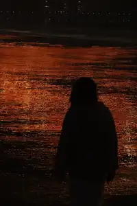 鸚鵡洲長江大橋