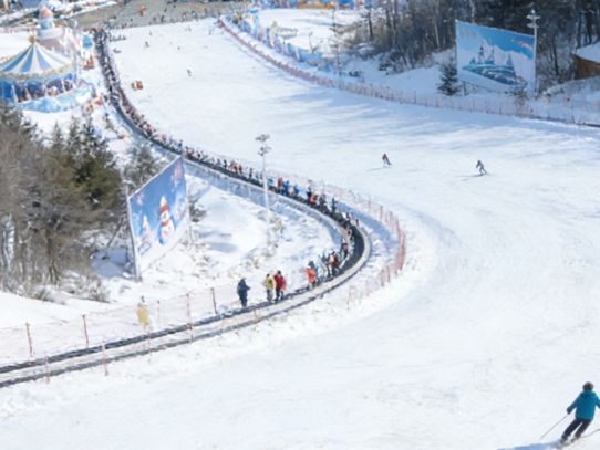 Skip Hokkaido! Harbin’s 5-Day Ski & Ice Magic Trip Is Unbeatable ❄️