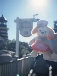 東迪海洋｜難忘！好玩！一日記錄