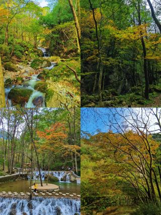 상락에서 돌아왔어요. 3일간 머문 후 제 소비관이 무너졌답니다