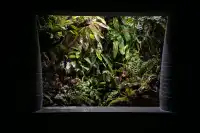 日落前入園！溫室花園日夜場一次看完