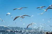 如果冬天只想去一個城市,那就是昆明