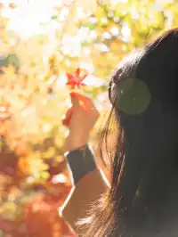 南京2天1晚 丨超詳細賞秋寶藏路線