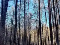 瀋陽周邊1.5h太極灣徒步!感受自然能量場