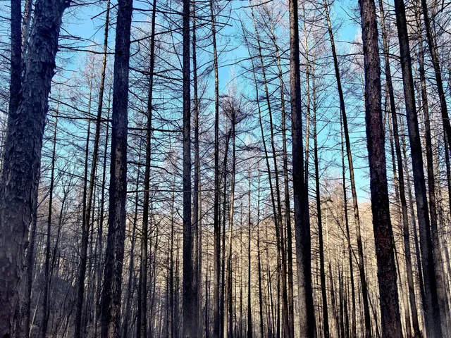 瀋陽周邊1.5h太極灣徒步!感受自然能量場 瀋陽周邊1.5h太極灣徒步!感受自然能量場