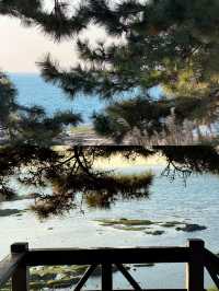 冬日青島Seawalk天花板!這條路線讓你承包整片克萊因藍