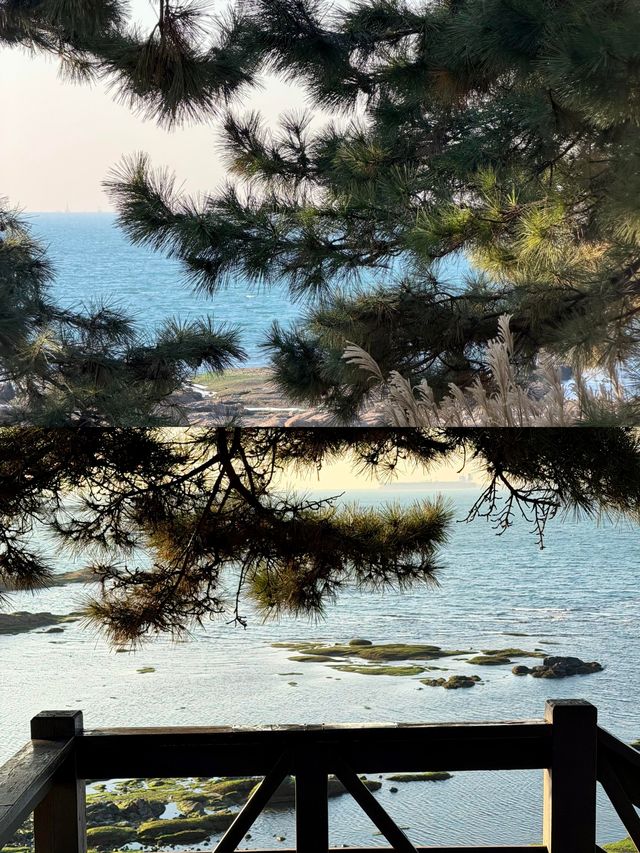 冬日青島Seawalk天花板!這條路線讓你承包整片克萊因藍 冬日青島Seawalk天花板!這條路線讓你承包整片克萊因藍