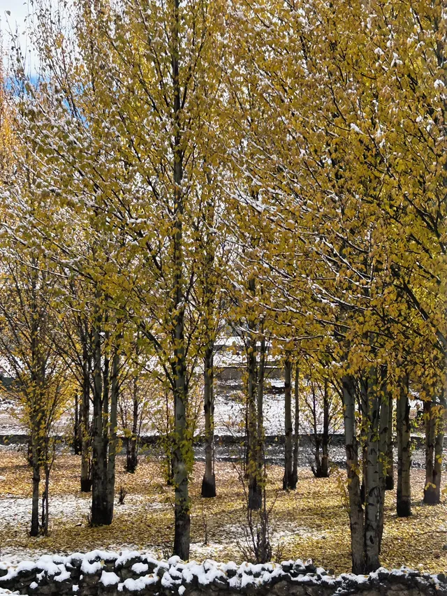 命運的扣環—願我們永遠自由 命運的扣環—願我們永遠自由