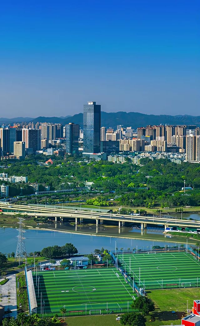 綠城南寧的晴天絕了 綠城南寧的晴天絕了