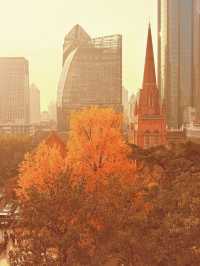 深秋限定！上海聖三一教堂銀杏與穹頂的絕美邂逅