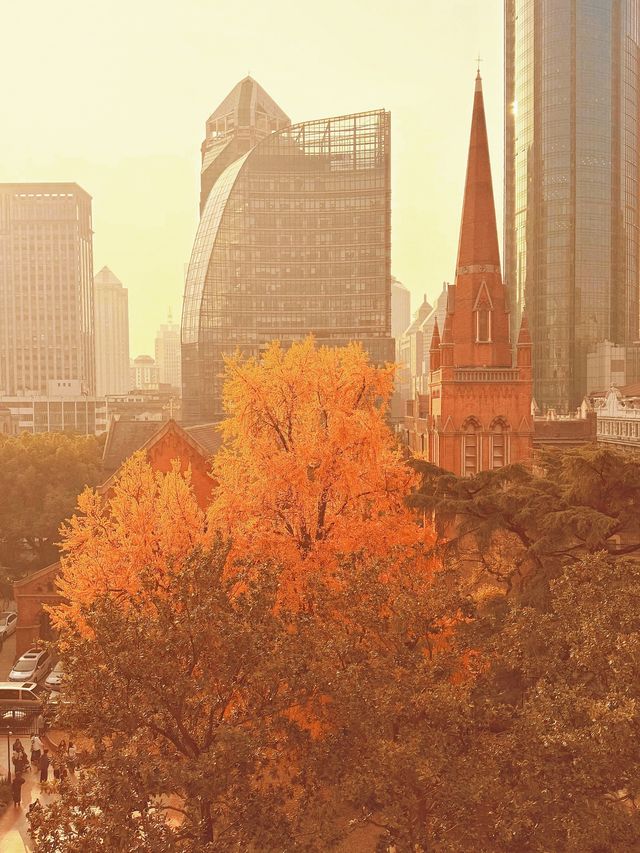 深秋限定！上海聖三一教堂銀杏與穹頂的絕美邂逅