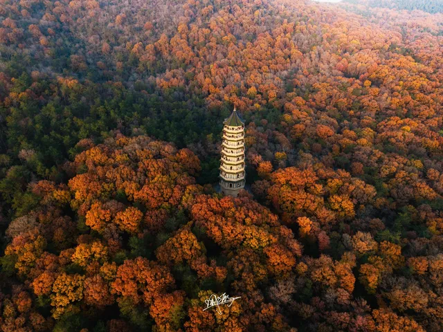 南京秋日航拍 南京秋日航拍