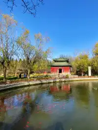 正定一個人逛一下午的冬日治癒路線