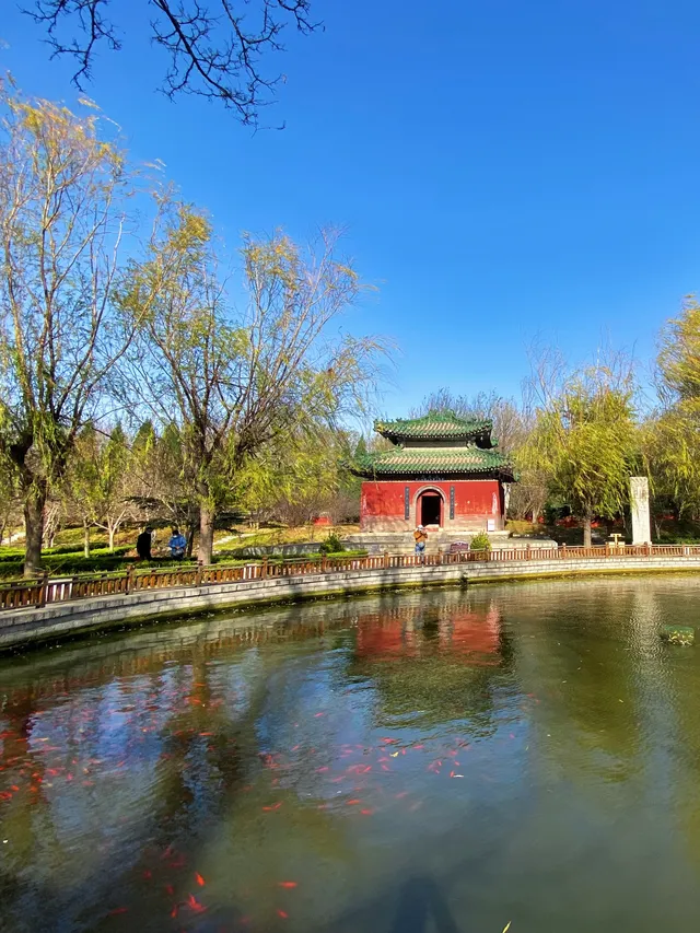 正定一個人逛一下午的冬日治癒路線