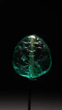 莫臥兒王朝瑰寶二刷