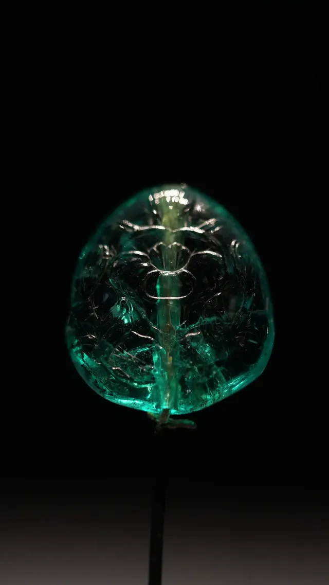 莫臥兒王朝瑰寶二刷 莫臥兒王朝瑰寶二刷