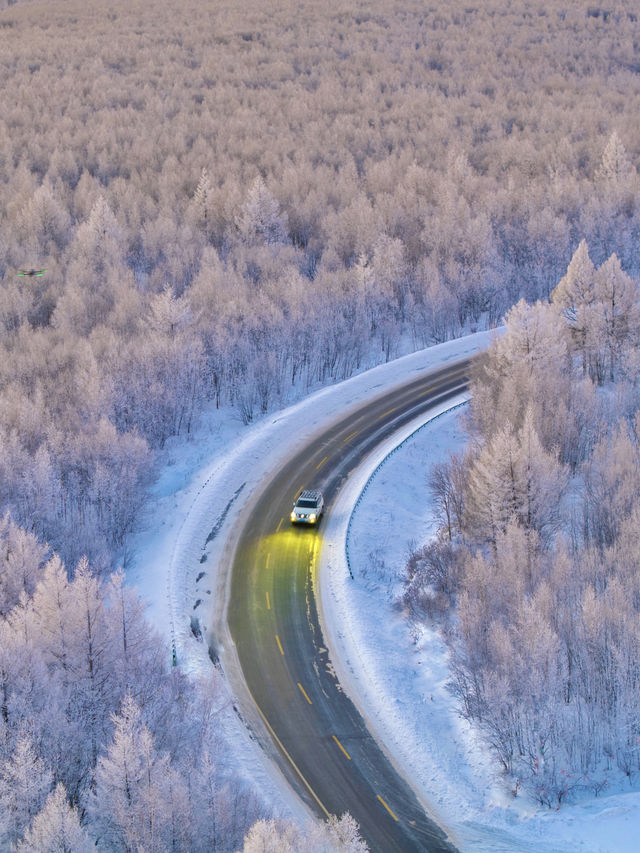 沒踩雷🫡第一次去阿爾山 直接照抄這份攻略 沒踩雷🫡第一次去阿爾山 直接照抄這份攻略