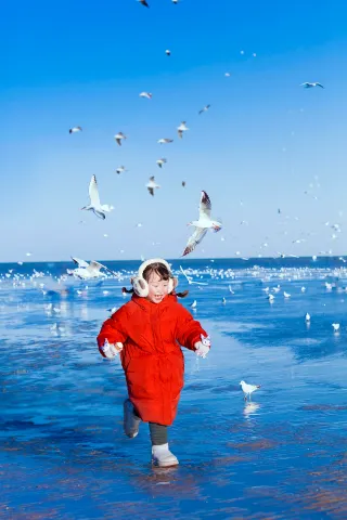 The ultimate free guide to watching seagulls at Dongjiang Coastal Park