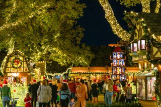 ขับรถผ่านอุโมงค์แห่งแสง! รวมไอเดียการชมไฟประดับคริสต์มาสในดัลลัส