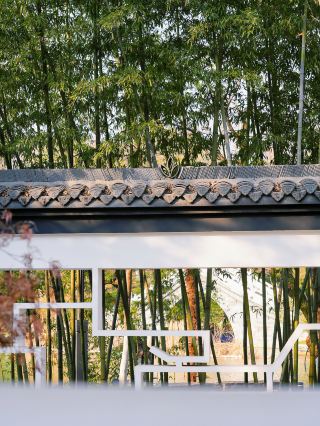 합비 겨울의 비밀 정원 | 부장, 포허에 숨겨진 강남의 시화