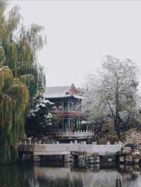 華北江南驚艷了整個冬天，保定這座千年園林，雪落成詩！
